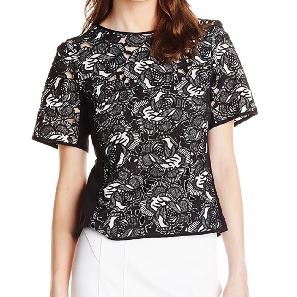 Nanette Lepore Romance Language Embroidered Lace